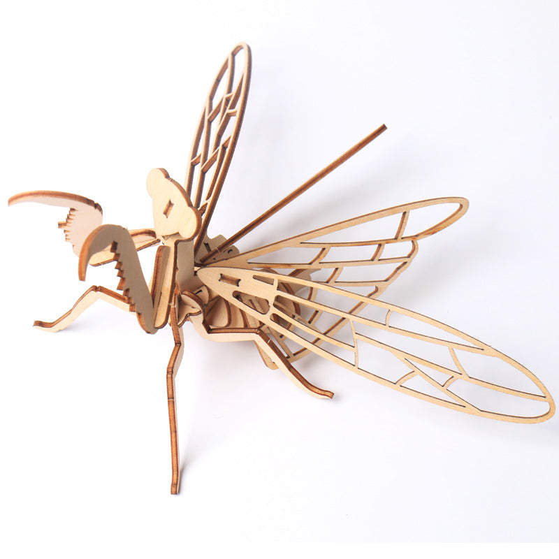 Children's DIY Wooden Toys, Wooden Toy Models, Three-dimensional Puzzles, Assembling Insect Models